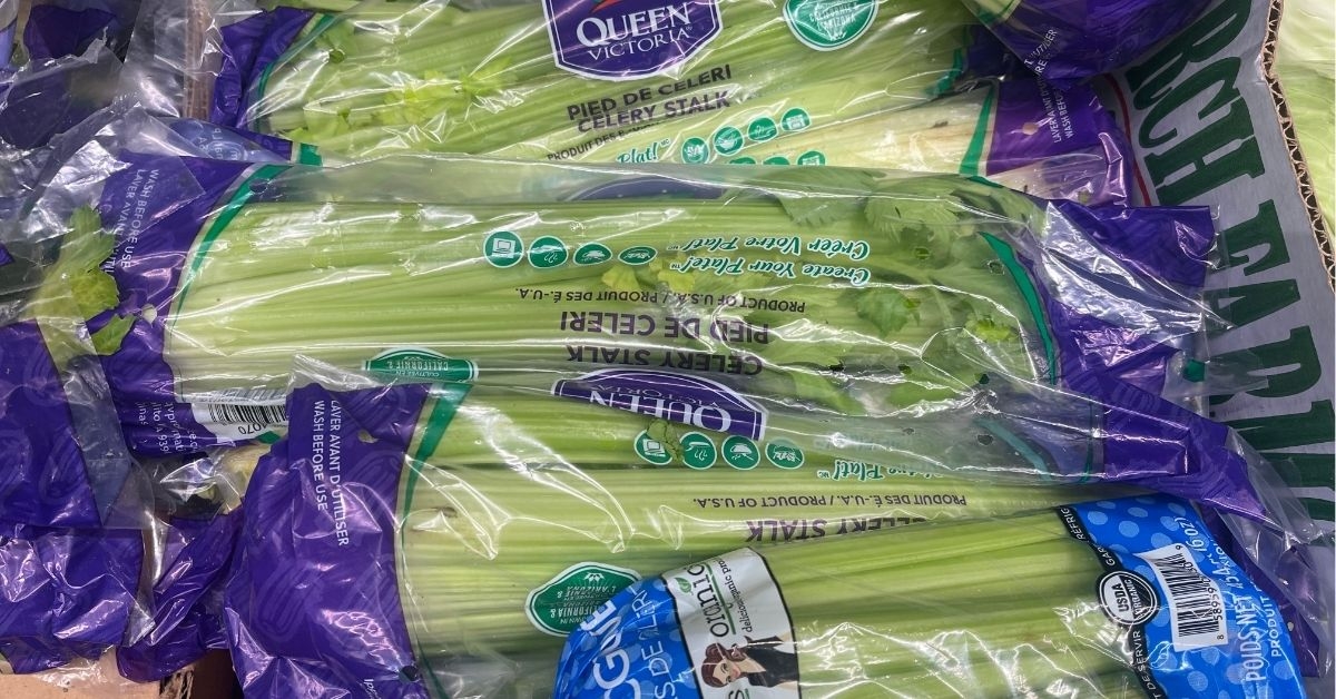 queen victoria celery