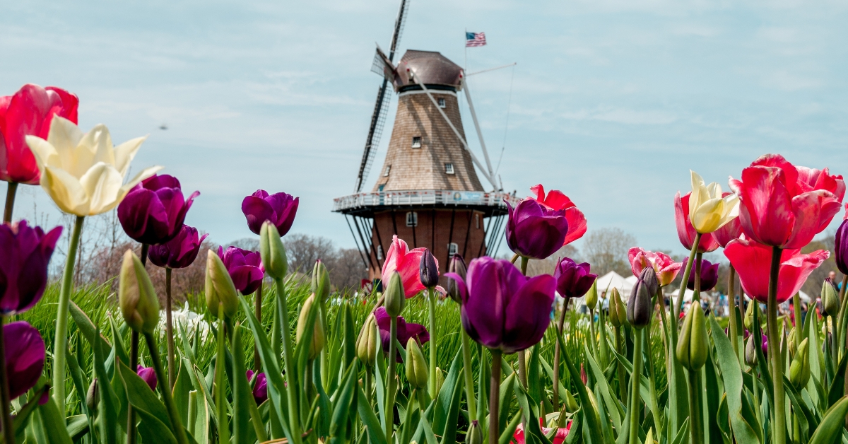 a windmill with flowers beside