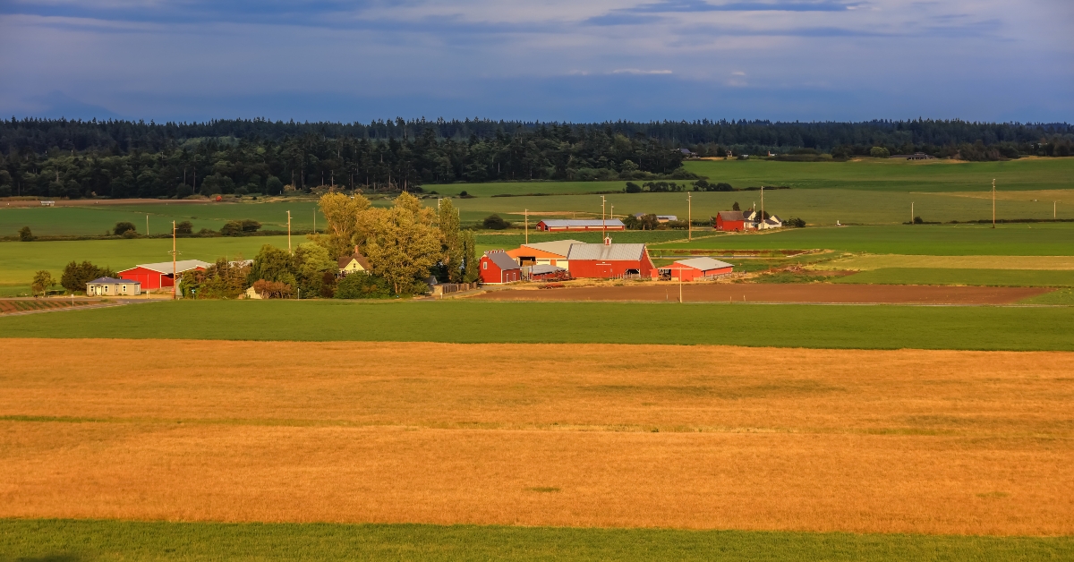 farm view in scenic whidbey island washington state 