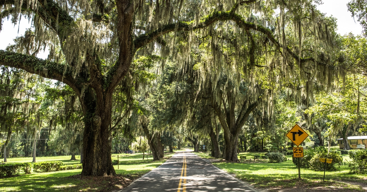 on the road in florida 