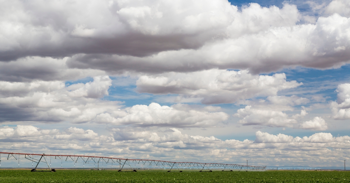 usa washington state connell farm field
