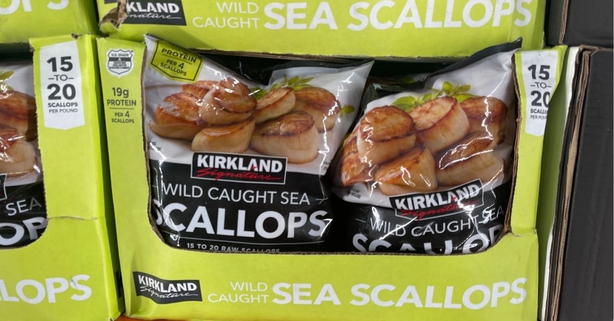 a pack of sea scallops