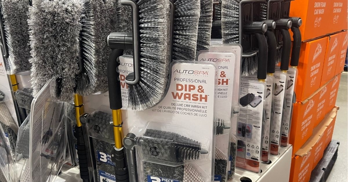 dip and wash brush kit