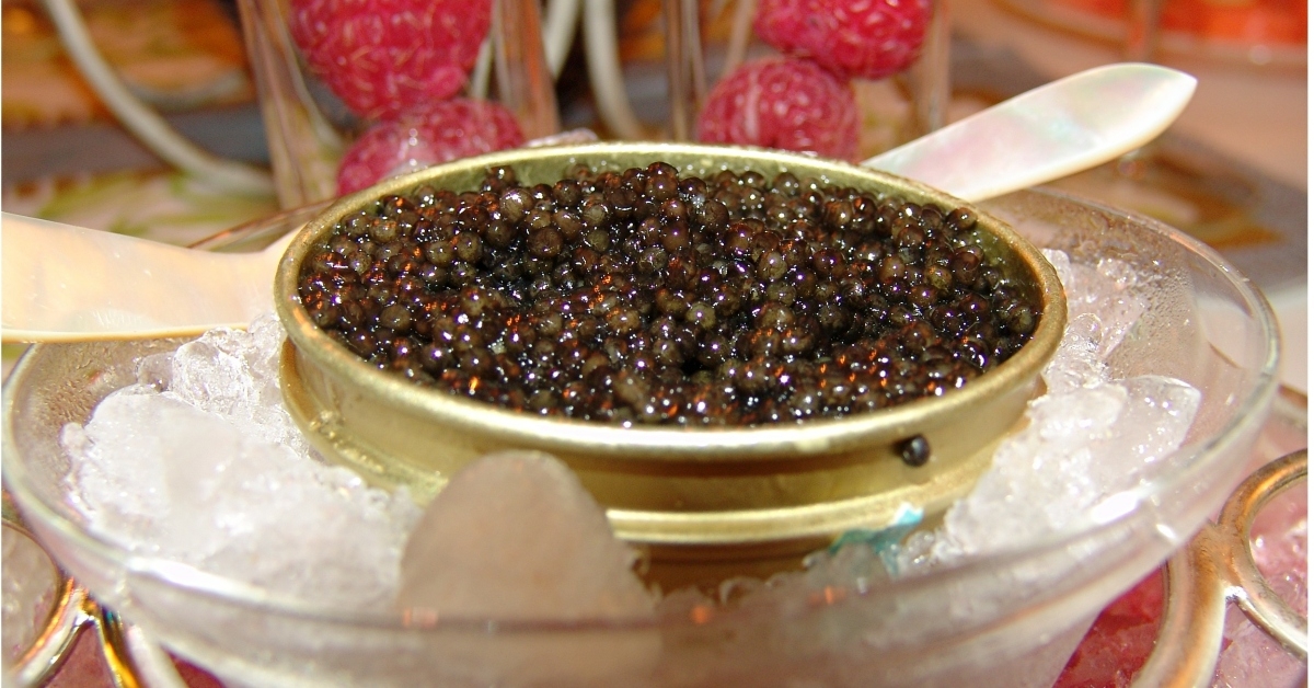 caviar