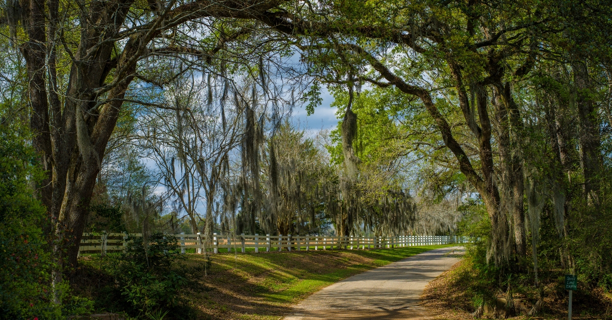 entrance rosedown plantation, louisiana