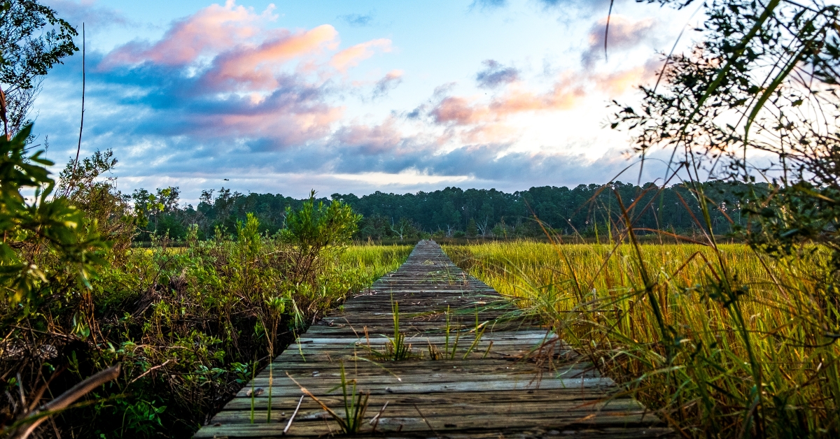 marsh at sunrise with cloudy sky