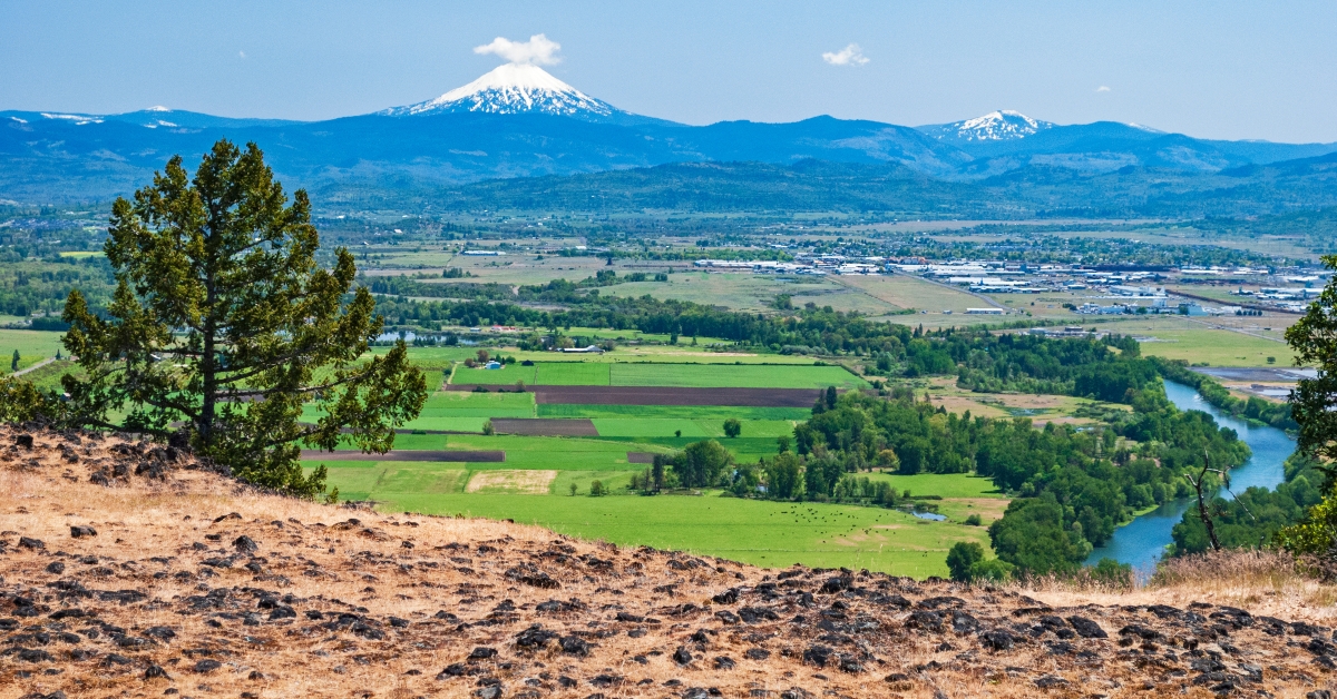 vista of mt mcloughlin 