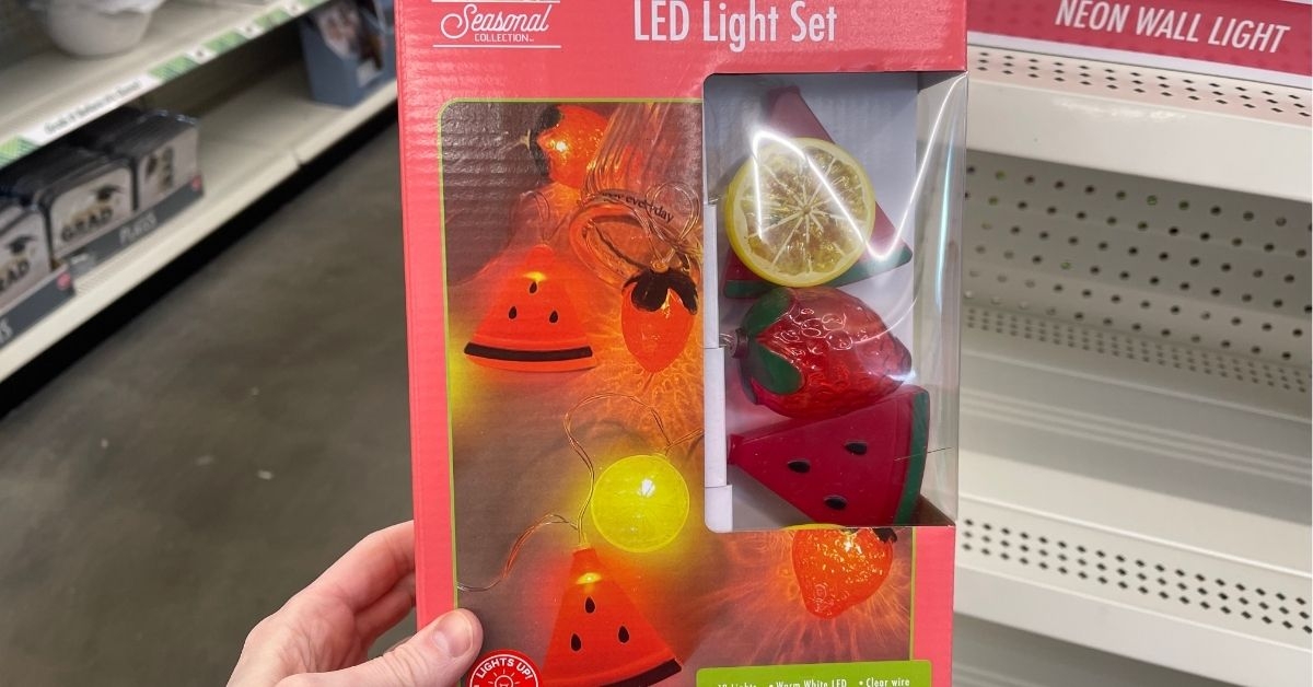 seasonal collection led light set