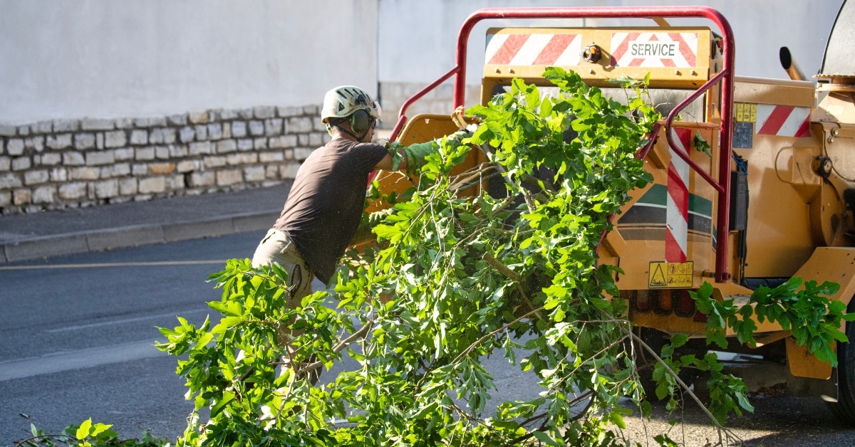 urban landscaper engaged