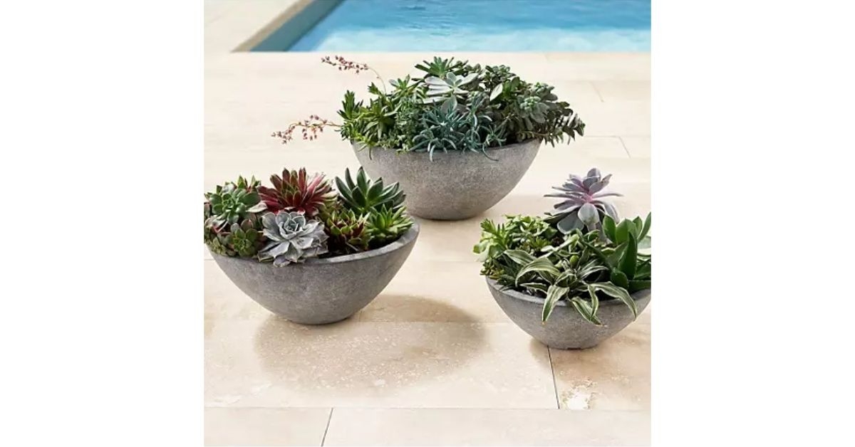 table top planters