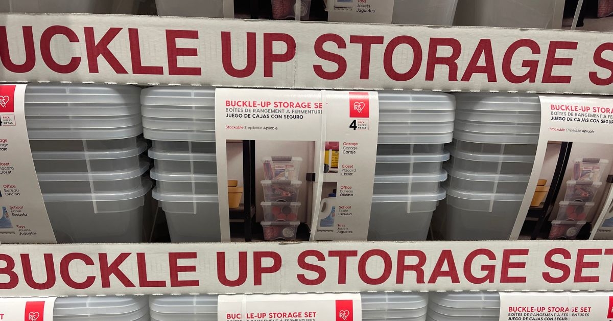 buckle up storage set
