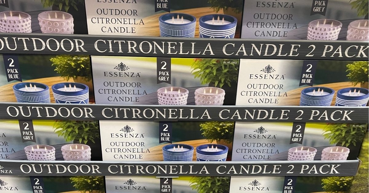 essenza citronella candles