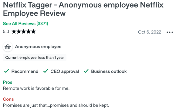 screenshot of employee review