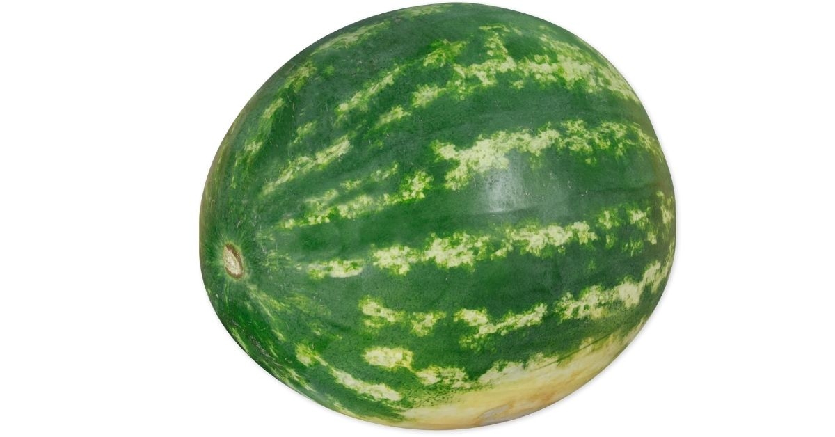 a whole seedless watermelon
