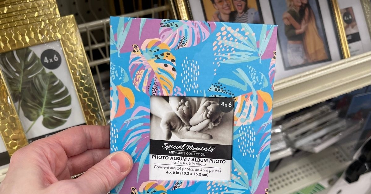 person holding a photo album