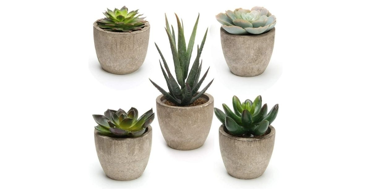 home decor artificial succulent plant