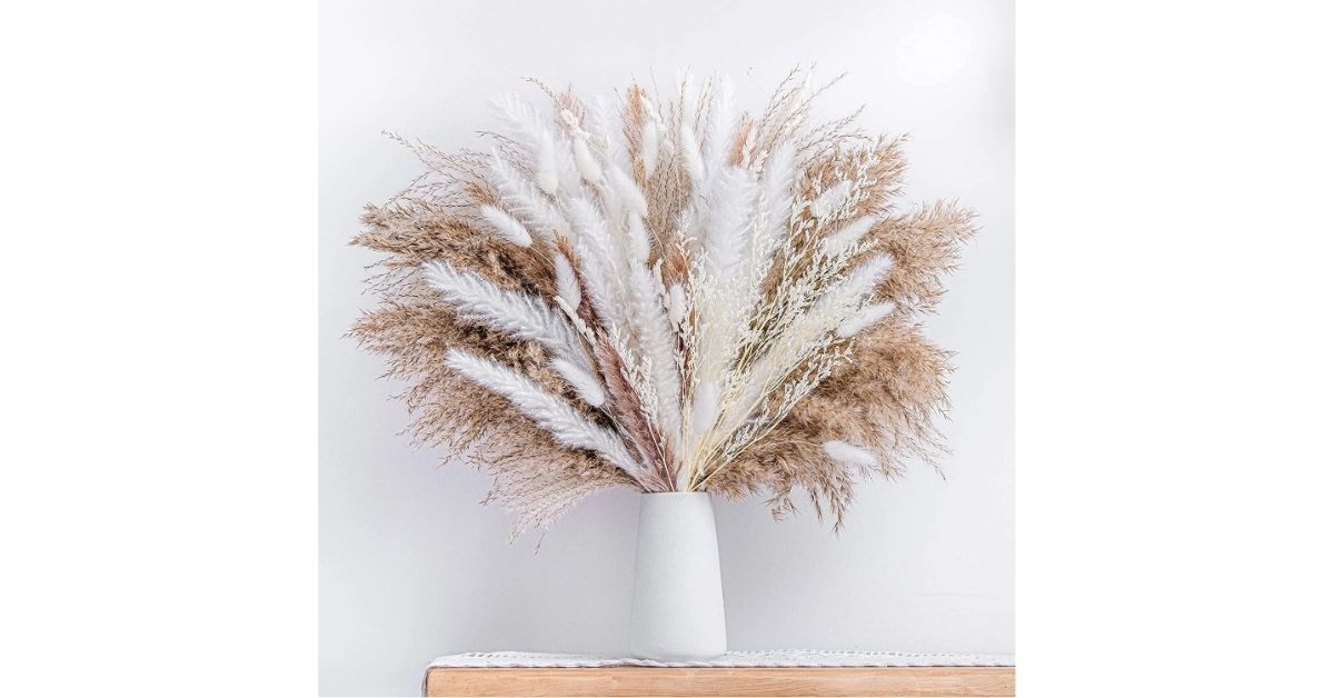 natural dried pampas grass