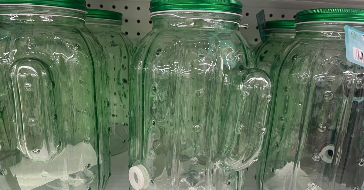 cactus drink dispenser