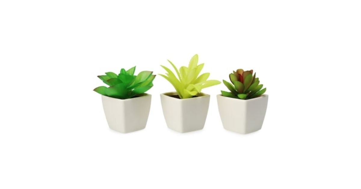 mini faux succulent plants