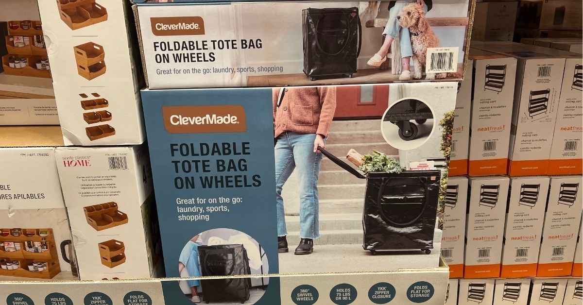 foldable tote bag on wheels