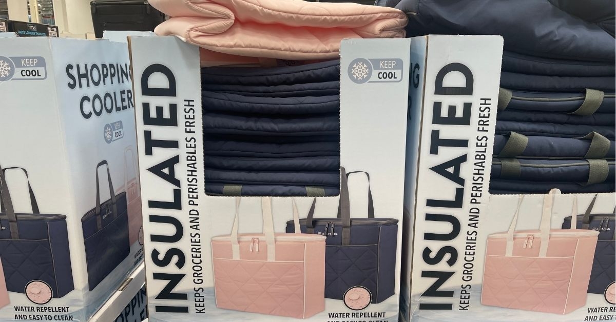insulated cooler bag