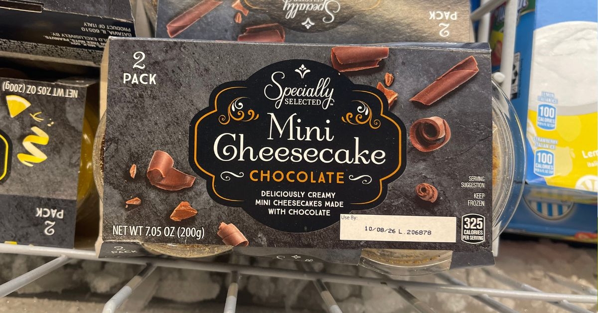 chocolate mini cheesecakes