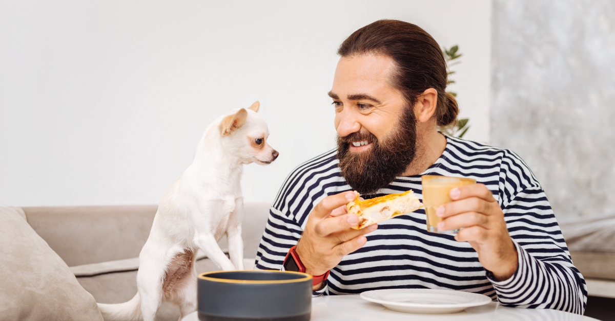 bearded man eating cheesecake