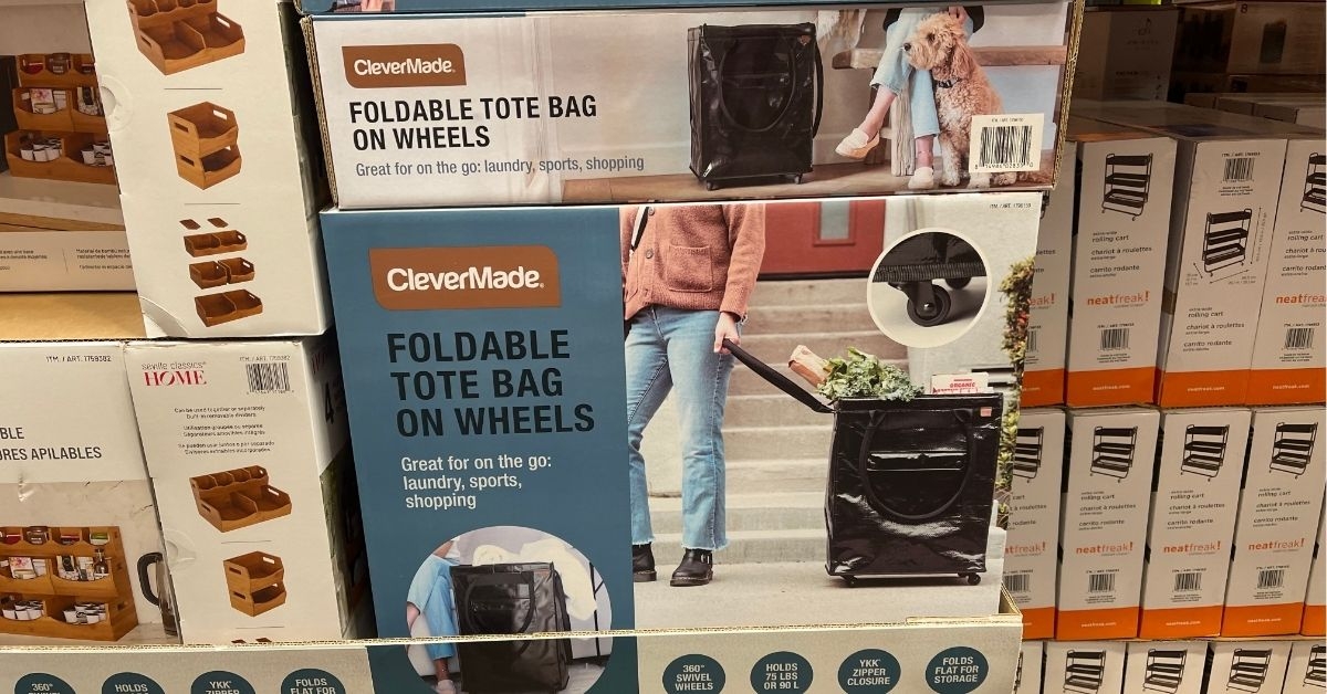 foldable tote bag on wheels