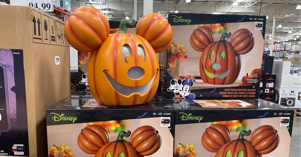 disney pumpkins on display