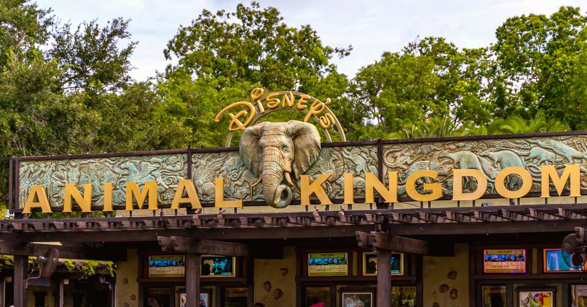 entrance of disney's animal kingdom