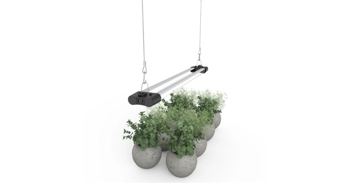 led grow light