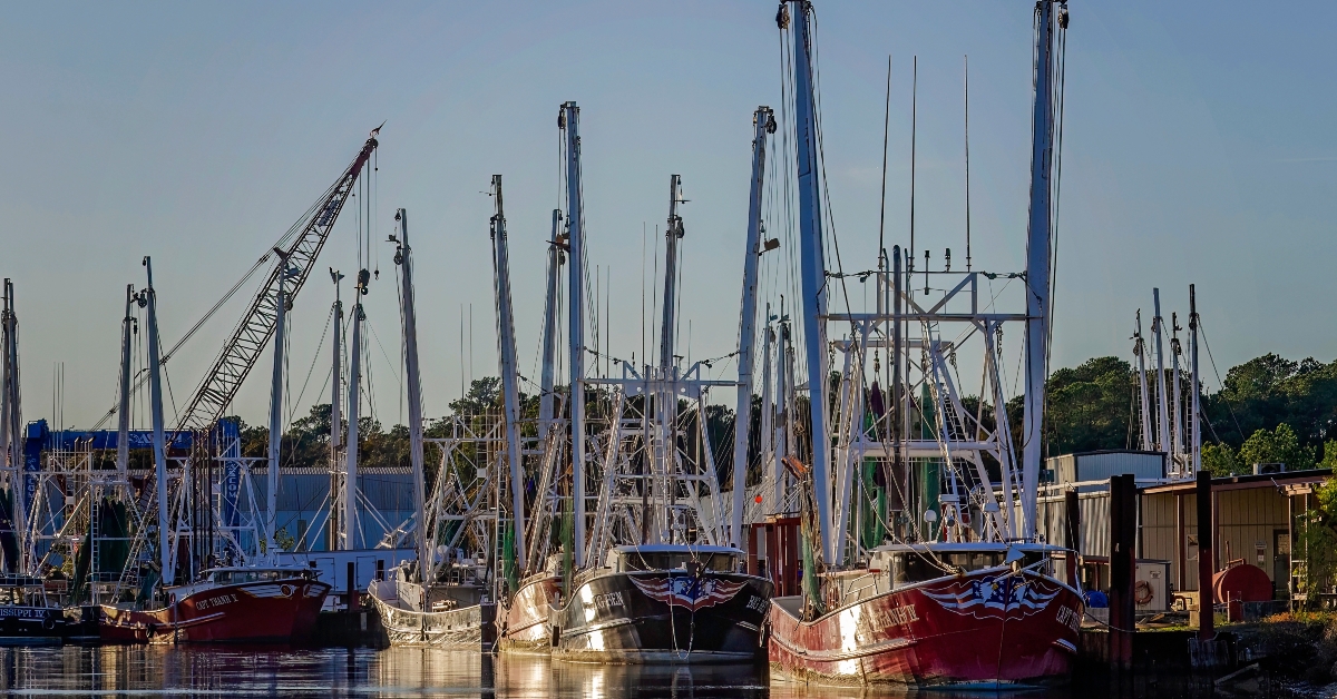 shrimp boats at bayou la batre alabama 