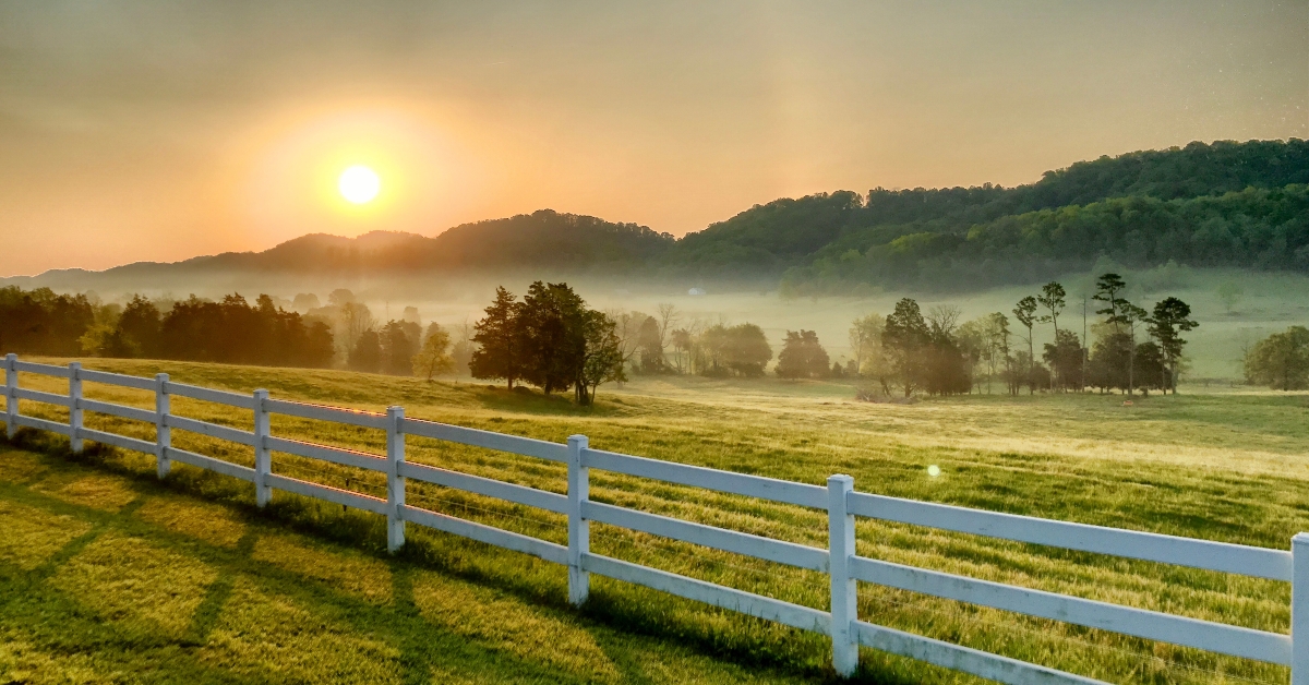 tennessee sunrise 