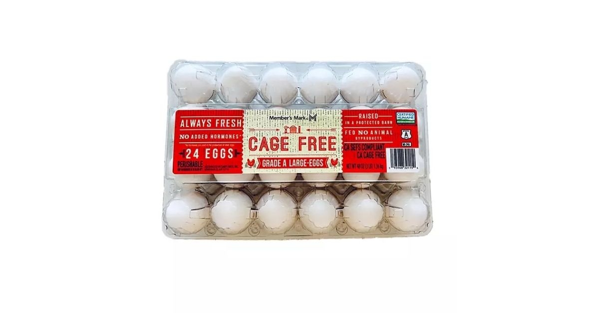 cage free eggs