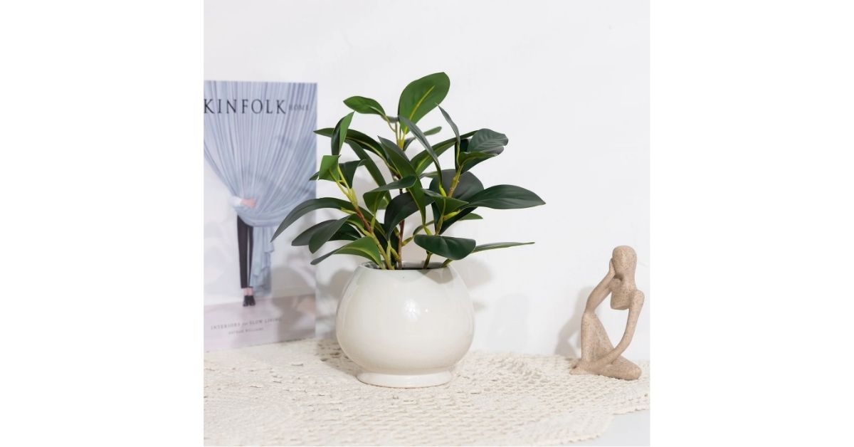 indoor artificial peperomia plant