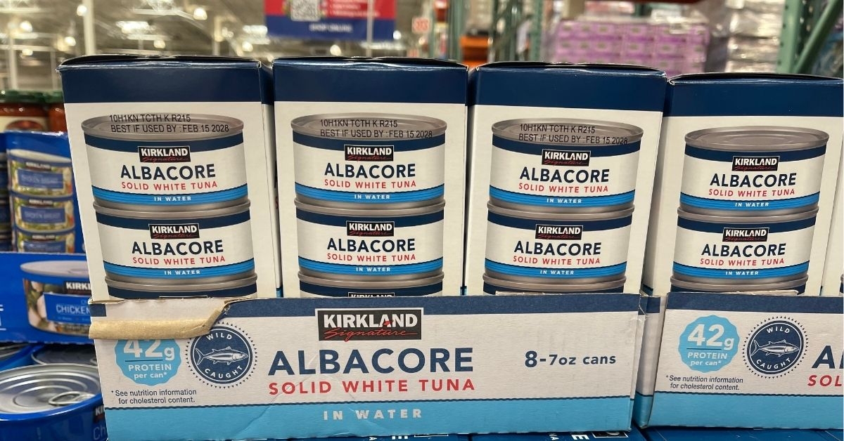 albacore solid white tuna