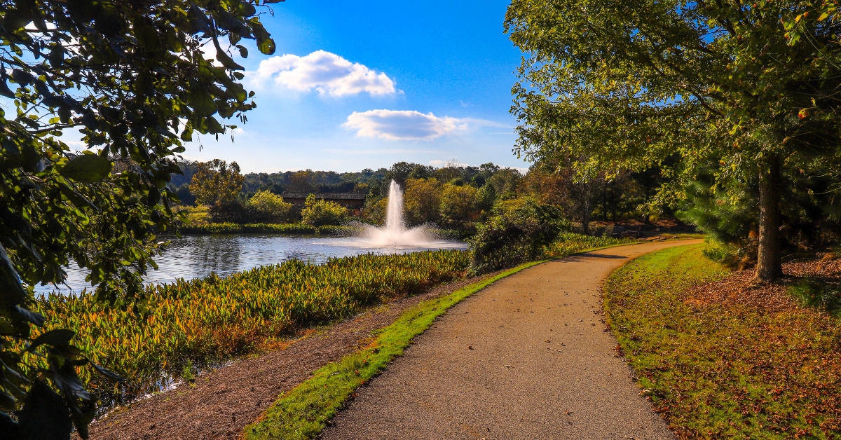 lake with a water fountain