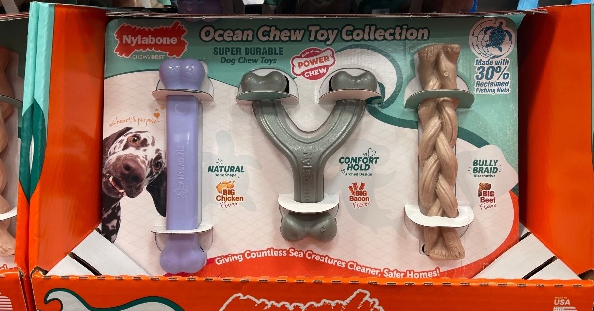 ocean chew dog toy collection
