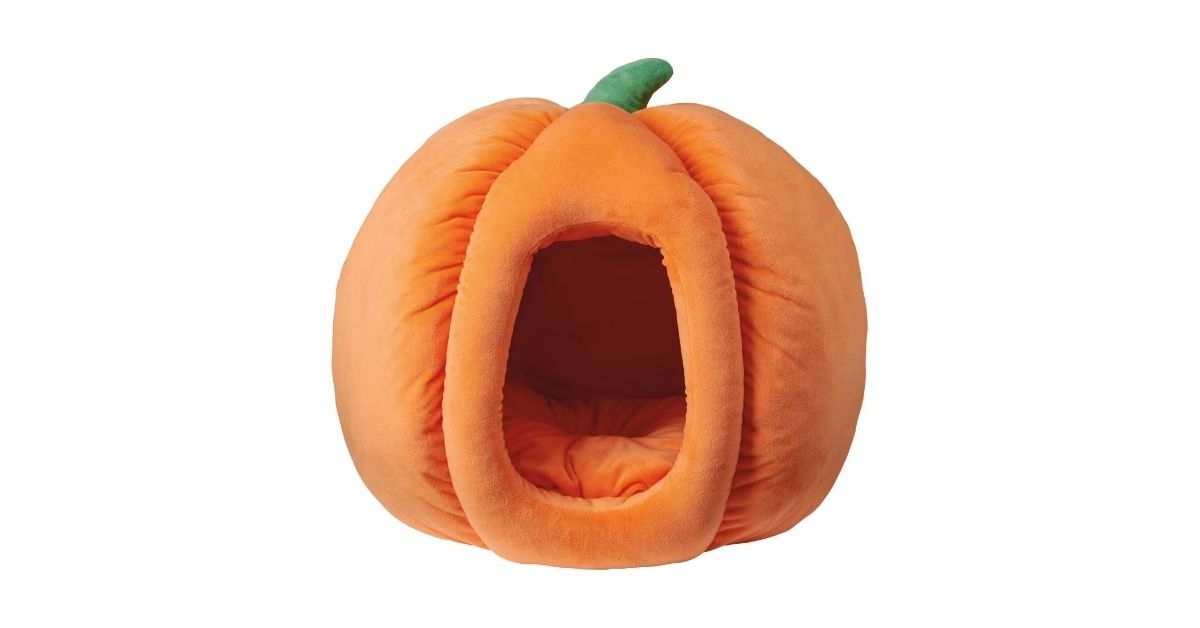 an orange novelty pet bed