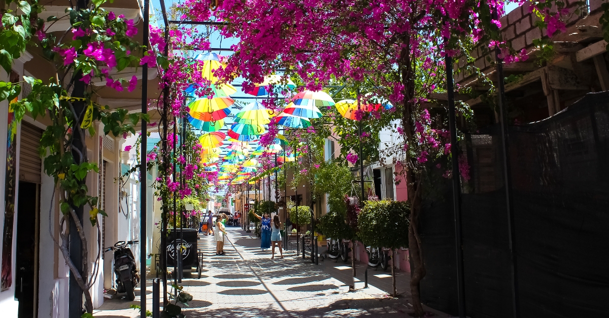 Street Umbrellas in Puerto Plata 