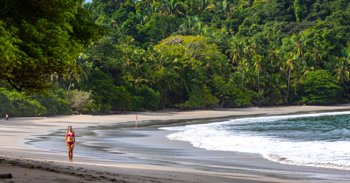 tropical beach with palm trees in manuel antonio