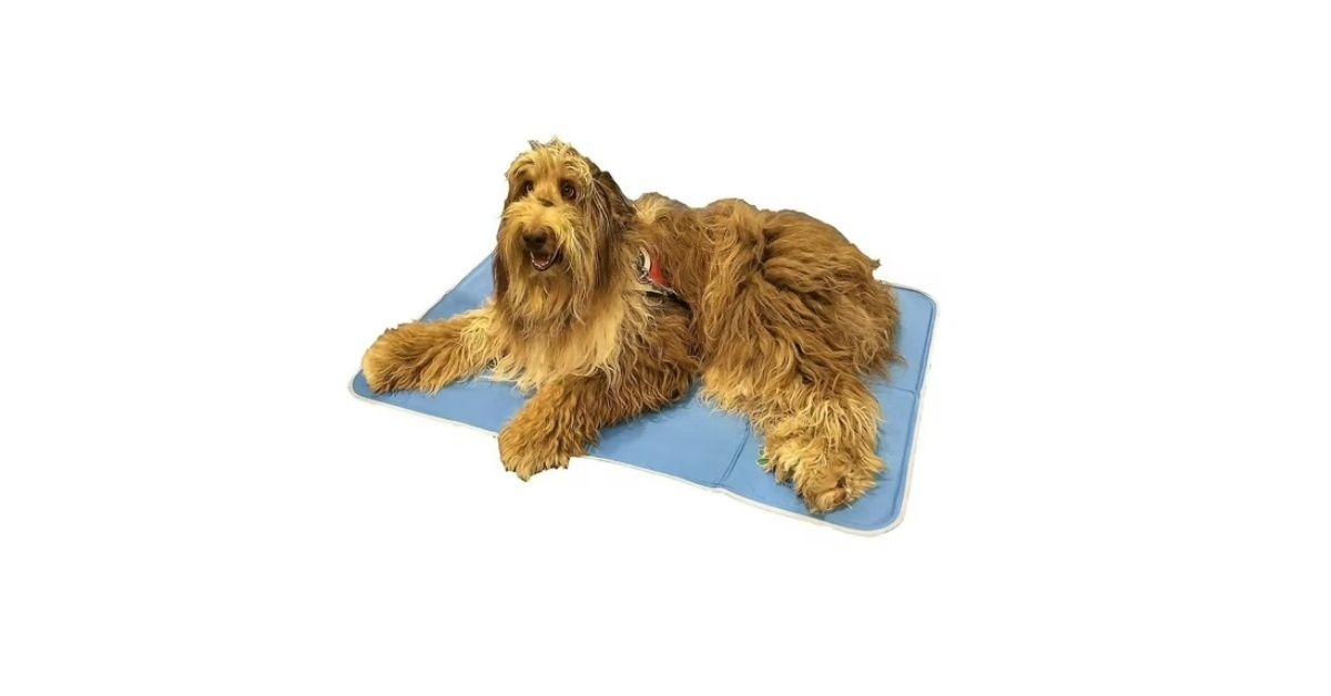 dog cool pet pad large
