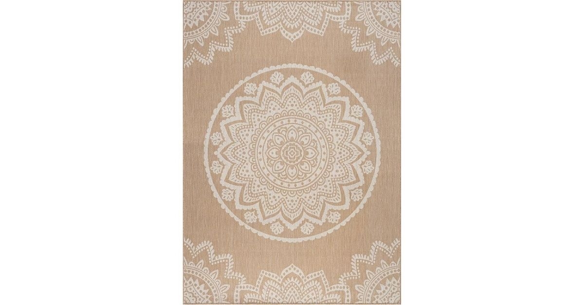 insignia indoor outdoor area rug