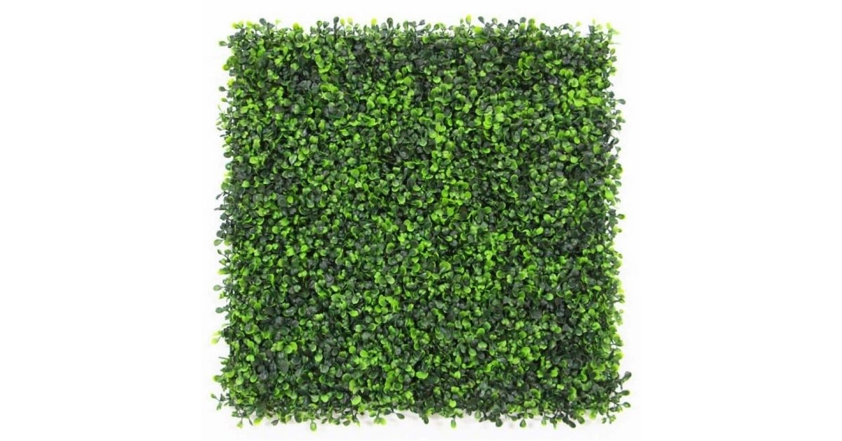boxwood hedge greenery panels