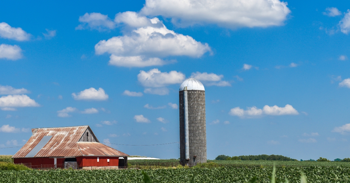 red barn and a silo in a green bean field 