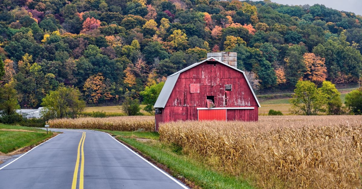 red barn with fall foliage in ohio