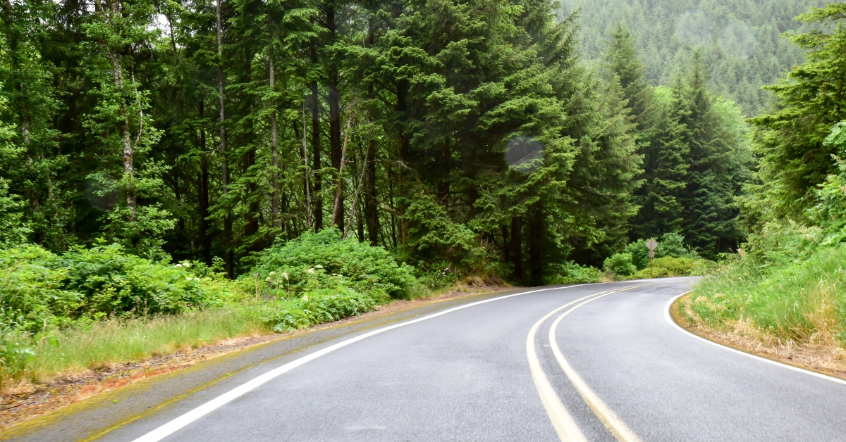empty road through the pacific northwest 