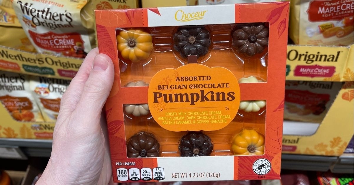 assorted belgian chocolate pumpkins