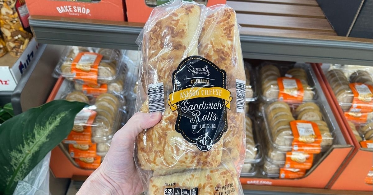 cheese ciabatta sandwich rolls