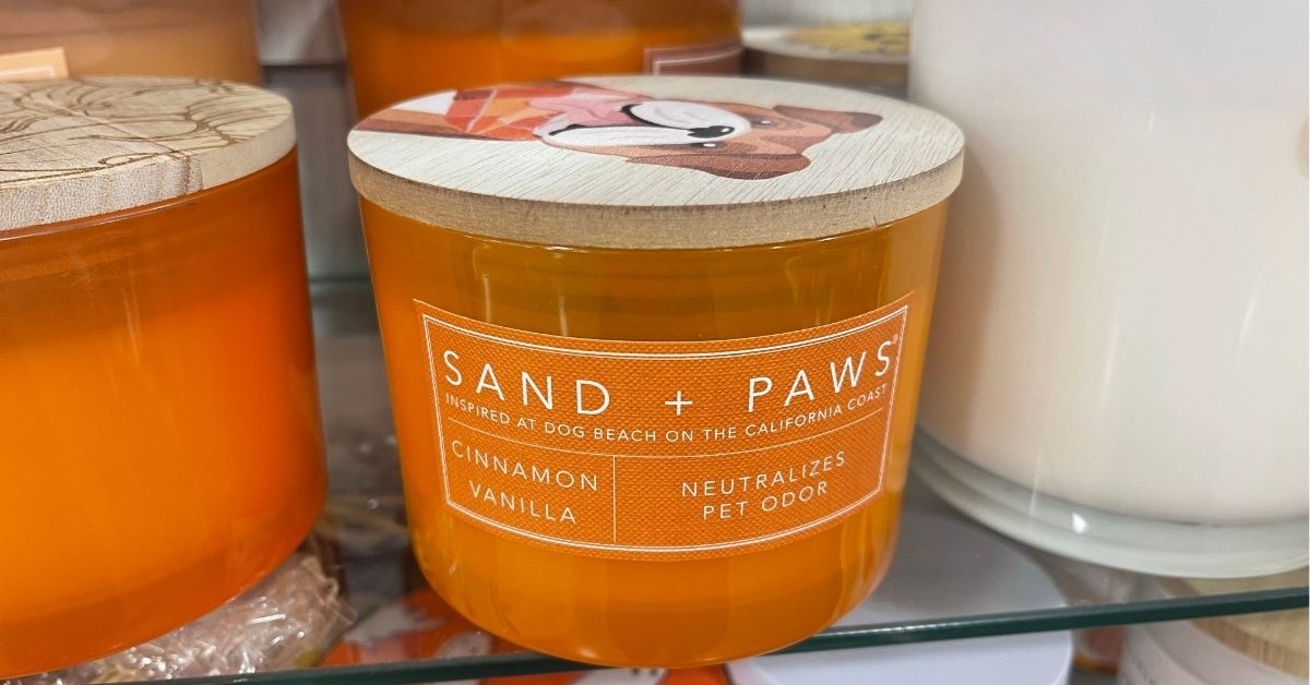 cinnamon vanilla jar candle
